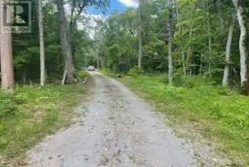 169 Lean Dr, North Kawartha, Ontario K0L 1A0, ,Commercial,Sold,Lean,X8486588