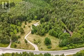 1609 County Rd 504, North Kawartha, Ontario K0L 1A0, ,Commercial,Sold,County Rd 504,X9011105