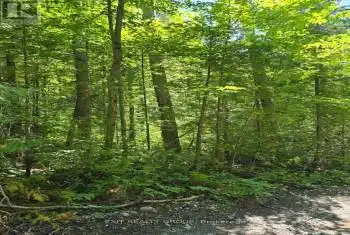 PT LT 3 Concession 8 PT 123, Trent Hills, Ontario K0L 1Y0, ,Commercial,Sold,Concession 8 PT 123,X9251186