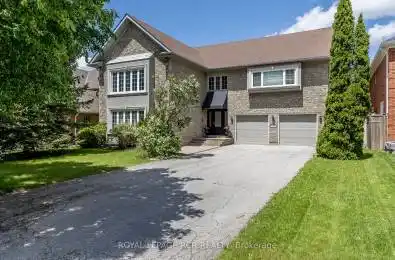 913 Tegal Place Newmarket (Stonehaven-Wyndham) Ontario L3X1L3