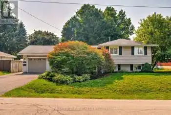 172 Council Cres, Hamilton, Ontario L9G 1V1, 3 Bedrooms Bedrooms, 6 Rooms Rooms,2 BathroomsBathrooms,All Houses,Rented,Council,X9351881