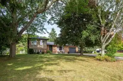 260 Seldon Street Zorra (Thamesford) Ontario N0M2M0