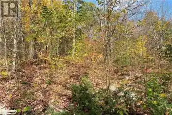 0 CHRYSLER Rd, Bracebridge, Ontario P1L 1X1, ,Commercial,Sold,CHRYSLER,X10435200