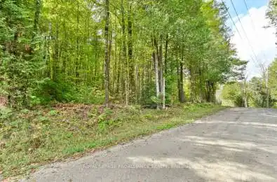 Wintergreen Road North Frontenac Ontario K0H1K0