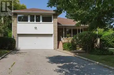 114 Palm Drive Toronto (Clanton Park) Ontario M3H2C4