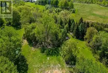 41365 Major Line, St. Thomas, Ontario N5P 3T1, ,Commercial,Sold,Major,X9500904