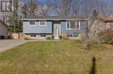 33 Tree Top Street Essa (Angus) Ontario L0M1B2