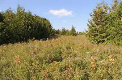 384551 CONCESSION 4 West Grey Ontario N0C1K0