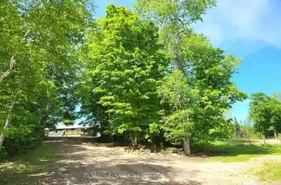 2586 Old Hastings Road Wollaston Ontario K0L1P0