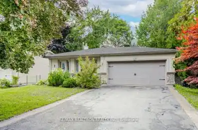 22 Brightway Cres Richmond Hill Ontario L4C 4Z9