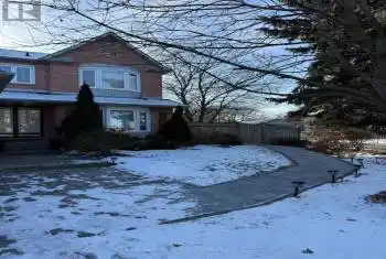 87 Tamarac Tr Unit# bsmnt, Aurora, Ontario L4G 5S1, 1 Bedroom Bedrooms, 2 Rooms Rooms,1 BathroomBathrooms,All Houses,Rented,Tamarac,N11910675