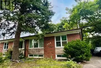246 Elka Dr Unit# Apt B, Richmond Hill, Ontario L4C 3A3, 1 Bedroom Bedrooms, 3 Rooms Rooms,1 BathroomBathrooms,All Houses,Rented,Elka,N11913166