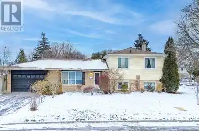 48 Jasper Crescent Brampton (Northgate) Ontario L6S2G2