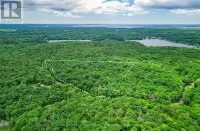 MILL LAKE Trail McDougall Ontario P2A2W9