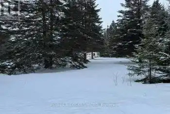 793 Cameron Rd, Faraday, Ontario K0L 1P0, ,Commercial,Sold,Cameron,X11948922