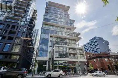 95 Bathurst Street Unit# 424 Toronto (Waterfront Communities) Ontario 