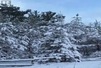 Lot 37 Milton St, Tiny, Ontario L0L 2T0, ,Commercial,Sold,Milton,S11956634