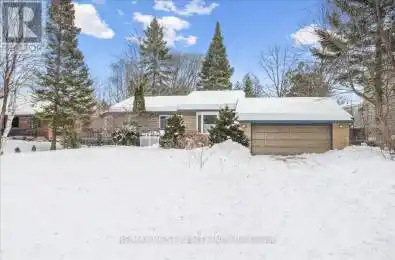 71 Pinecrest Road Georgina (Pefferlaw) Ontario L0E1N0
