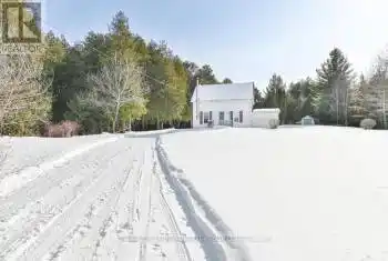 1968 Hollowview Rd, Centre Hastings, Ontario K0K 2K0, 3 Bedrooms Bedrooms, 7 Rooms Rooms,1 BathroomBathrooms,All Houses,Sold,Hollowview,X11972095