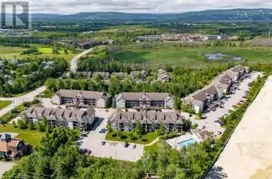 10 BRANDY LANE Drive Unit# 302 Collingwood Ontario L9Y0X4