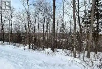 00 Upper Spruce Hedge Rd, Greater Madawaska, Ontario K0J 1G0, ,Commercial,Sold,Upper Spruce Hedge,X11974007