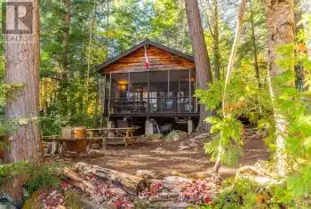 1017 PALACE Drive, Dysart et al (Havelock), Ontario K0M1S0, 2 Bedrooms Bedrooms, ,All Houses,For Sale,PALACE,X12001433