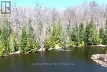 Contau Lake Road, Highlands East (Glamorgan), Ontario K0M1R0, ,Commercial,For Sale,Contau Lake,X12001533