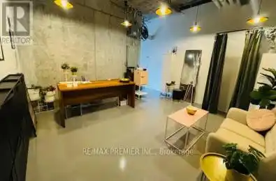 334 Adelaide Street Unit# 210 Toronto (Waterfront Communities) Ontario