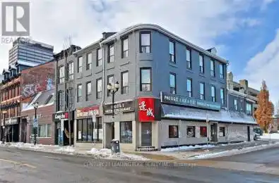 113 James Street Unit# 203 Hamilton (Central) Ontario L8R2K6
