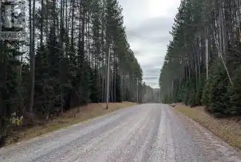 Lot 1 Red Pine Trail Unit# LOT, Bracebridge (Macaulay), Ontario P0B1L0, ,Commercial,For Sale,Red Pine,X12004162