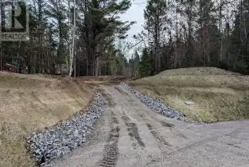 Lot 3 Red Pine Trail Unit# LOT, Bracebridge (Macaulay), Ontario P0B1L0, ,Commercial,For Sale,Red Pine,X12004287