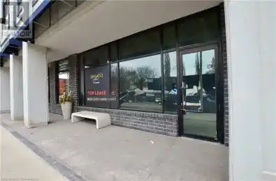 101 LOCKE STREET Street Unit# 3 Hamilton Ontario L8P4A6