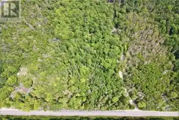 1385 SHERIDAN RAPIDS Road, Lanark Highlands, Ontario K0G1K0, ,Commercial,For Sale,SHERIDAN RAPIDS,X12006265