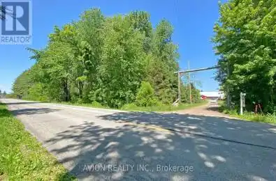 1229 Norfolk County Rd 19 Road Norfolk (Vanessa) Ontario N0E1V0