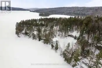 88 Chris Mullin Lane, Madawaska Valley, Ontario K0J1B0, 3 Bedrooms Bedrooms, ,3 BathroomsBathrooms,All Houses,For Sale,Chris Mullin,X12010124