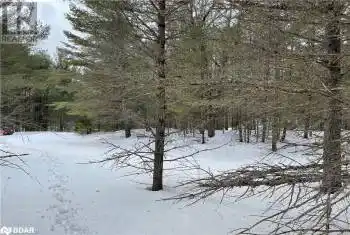 HADLINGTON Road Unit# Lot 3, Highlands East, Ontario K0L2Y0, ,Commercial,For Sale,HADLINGTON,40705619