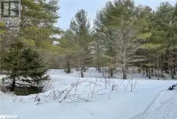 HADLINGTON Road Unit# Lot 2, Highlands East, Ontario K0L2Y0, ,Commercial,For Sale,HADLINGTON,40705640