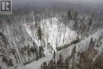 Peplinskie Road, Madawaska Valley, Ontario K0J1L0, ,Commercial,For Sale,Peplinskie,X12013689