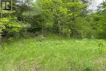 1915 County Road 48 Road, Havelock-Belmont-Methuen (Belmont-Methuen), Ontario K0L1Z0, ,Commercial,For Sale,County Road 48,X12014946