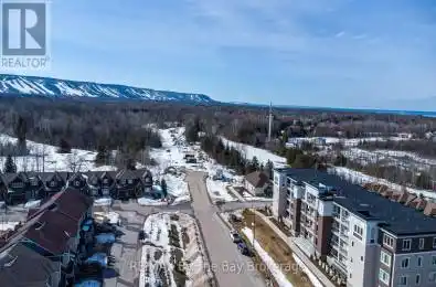 17 Spooner Crescent Unit# 205 Collingwood Ontario L9Y1T3