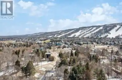 114 Birch View Trail Blue Mountains Ontario L9Y0K9