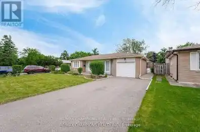 53 Beechwood Crescent Brampton (Avondale) Ontario L6T1X9