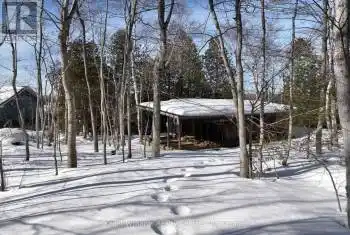 158 Tammy's Cove Road, Northern Bruce Peninsula, Ontario N0H1W0, 3 Bedrooms Bedrooms, ,1 BathroomBathrooms,All Houses,For Sale,Tammy's Cove,X12024033
