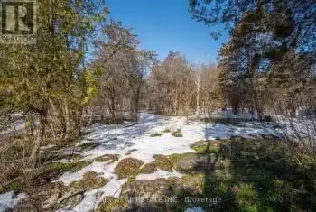 Snake Point Road, Kawartha Lakes (Bobcaygeon), Ontario K0M1A0, ,Commercial,For Sale,Snake Point,X12026892