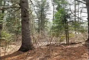 107 Balsam Chutes Road, Huntsville (Stephenson), Ontario P0B1L0, ,Commercial,For Sale,Balsam Chutes,X12025626