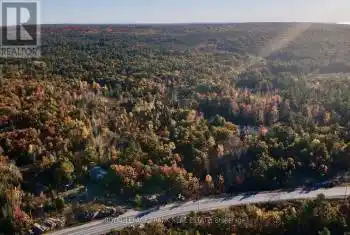 2567 County Road 36 Road, Trent Lakes, Ontario K0L1J0, 3 Bedrooms Bedrooms, ,2 BathroomsBathrooms,All Houses,For Sale,County Road 36,X12029022
