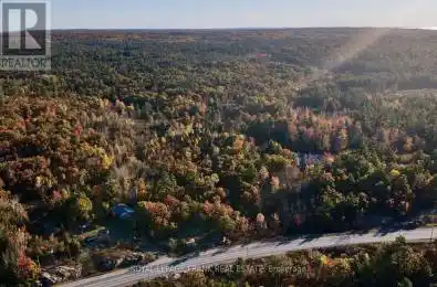 2567 County Road 36 Road Trent Lakes Ontario K0L1J0