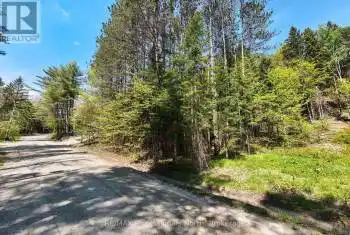 75 Balsam Chutes Road, Huntsville (Stephenson), Ontario P0B1L0, ,Commercial,For Sale,Balsam Chutes,X12033156