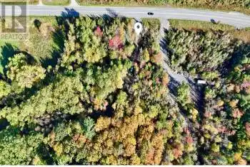 1362 HIGHWAY 118, Bracebridge (Muskoka (N)), Ontario P1L0A1, ,Commercial,For Sale,HIGHWAY 118,X12033759