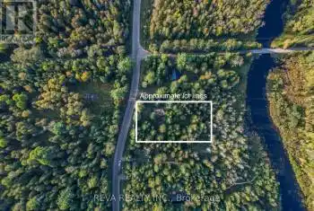 267 Bradshaw Road, Bancroft (Dungannon Ward), Ontario K0L1C0, 2 Bedrooms Bedrooms, ,1 BathroomBathrooms,Commercial,For Sale,Bradshaw,X12033971
